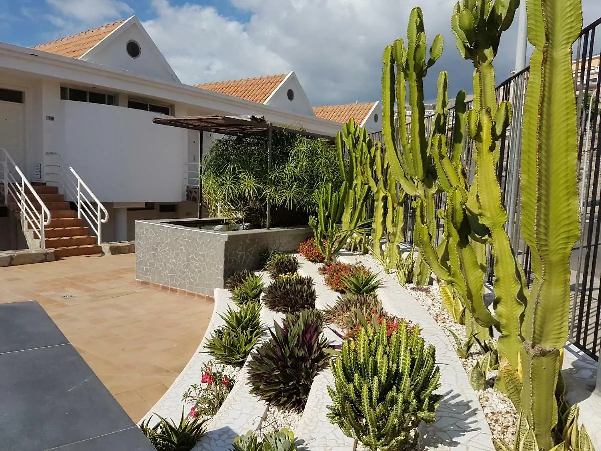 Lovely Studio Fully Equiped In Costa Adeje Lägenhet Costa Adeje (Tenerife)